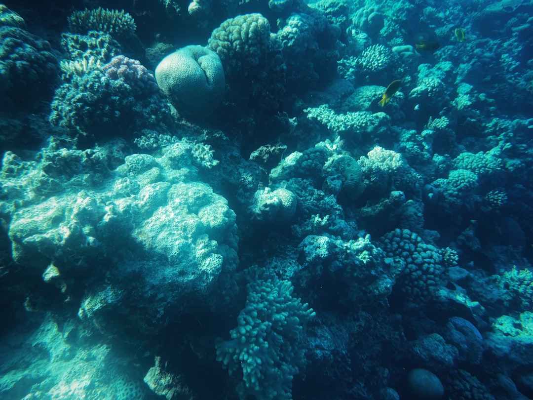 Dahlak Archipelago aerial view